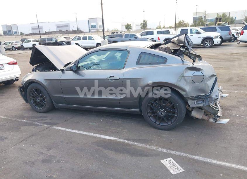 Photo 15 of 2014 Ford Mustang V6 (VIN 1ZVBP8AM4E5329375)
