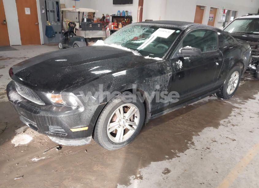 Photo 2 of 2011 Ford Mustang V6 (VIN 1ZVBP8AM5B5136311)