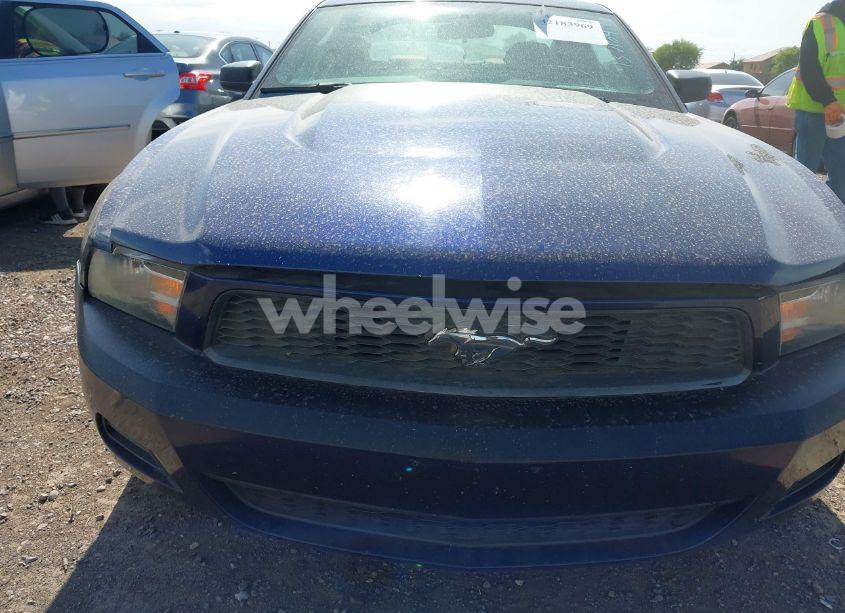 Photo 6 of 2011 Ford Mustang V6 (VIN 1ZVBP8AM5B5137104)