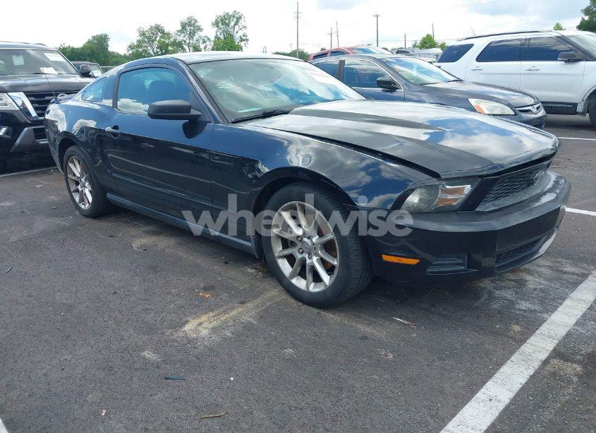 2011 Ford Mustang V6 PREMIUM (VIN 1ZVBP8AM5B5149026) main photo