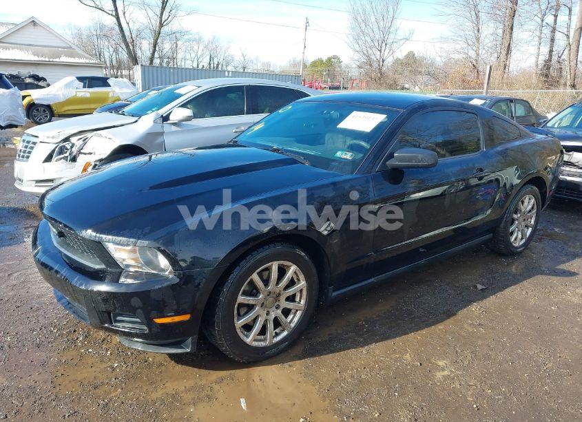 Photo 2 of 2011 Ford Mustang V6 (VIN 1ZVBP8AM5B5150824)