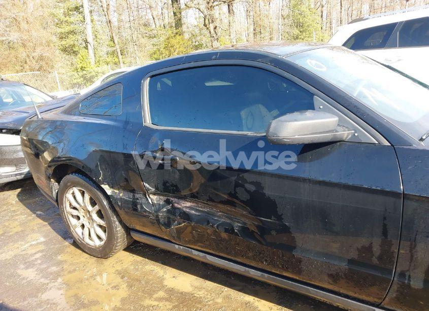 Photo 6 of 2011 Ford Mustang V6 (VIN 1ZVBP8AM5B5150824)