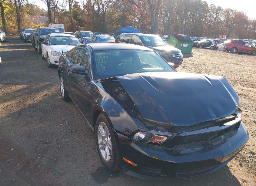 2011 Ford Mustang V6 (VIN 1ZVBP8AM5B5155361) main photo