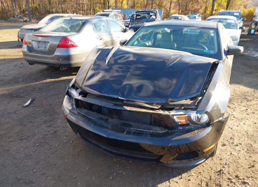 Photo 12 of 2011 Ford Mustang V6 (VIN 1ZVBP8AM5B5155361)