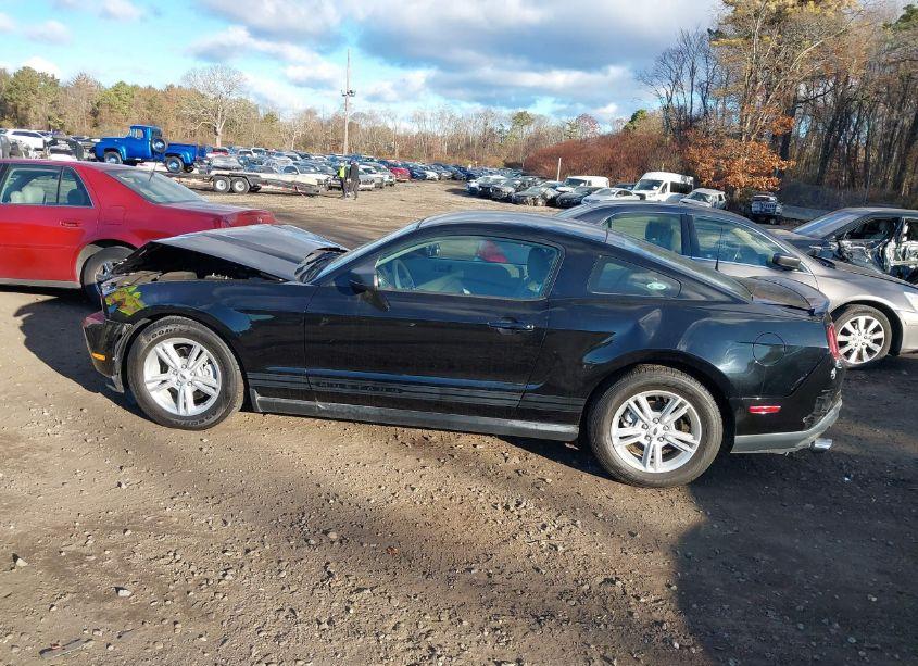 Photo 14 of 2011 Ford Mustang V6 (VIN 1ZVBP8AM5B5155361)