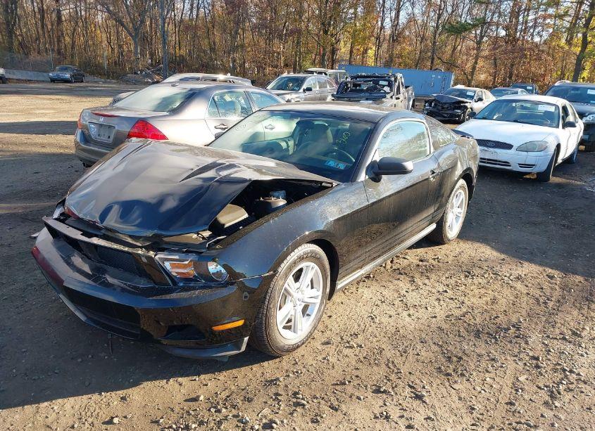 Photo 2 of 2011 Ford Mustang V6 (VIN 1ZVBP8AM5B5155361)