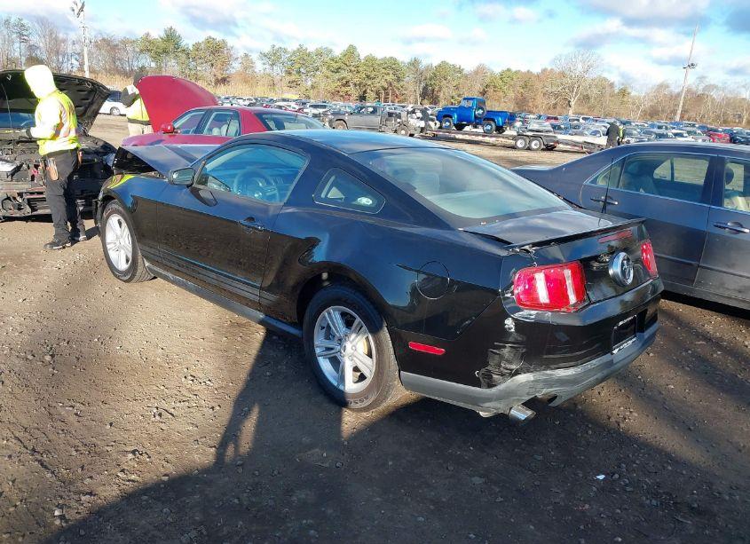 Photo 3 of 2011 Ford Mustang V6 (VIN 1ZVBP8AM5B5155361)