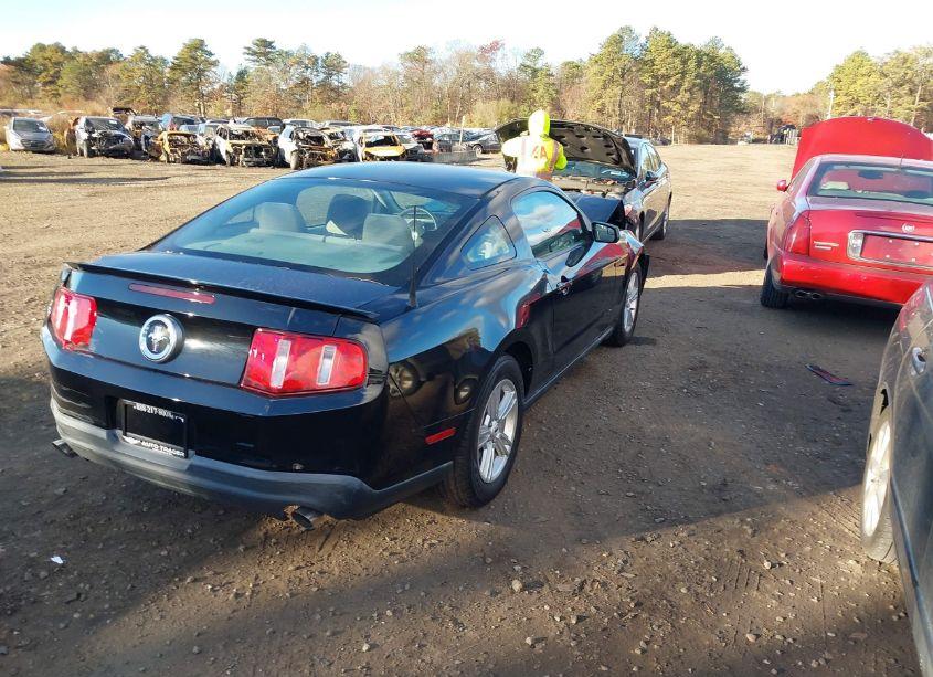 Photo 4 of 2011 Ford Mustang V6 (VIN 1ZVBP8AM5B5155361)