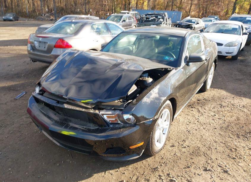 Photo 6 of 2011 Ford Mustang V6 (VIN 1ZVBP8AM5B5155361)