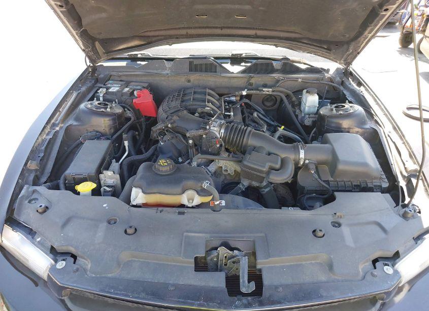 Photo 10 of 2012 Ford Mustang V6 PREMIUM (VIN 1ZVBP8AM5C5206410)