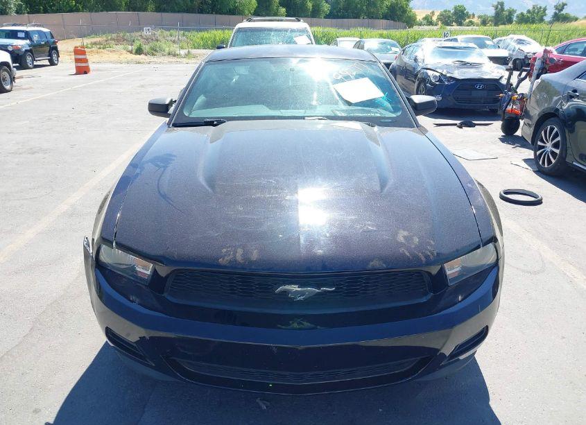 Photo 12 of 2012 Ford Mustang V6 PREMIUM (VIN 1ZVBP8AM5C5206410)