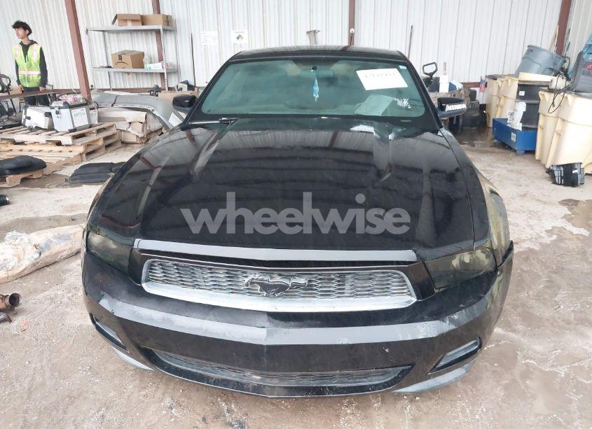 Photo 12 of 2012 Ford Mustang V6 (VIN 1ZVBP8AM5C5223787)