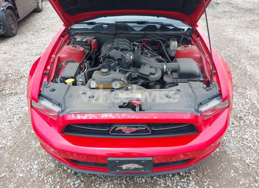 Photo 10 of 2013 Ford Mustang V6 PREMIUM (VIN 1ZVBP8AM5D5211012)