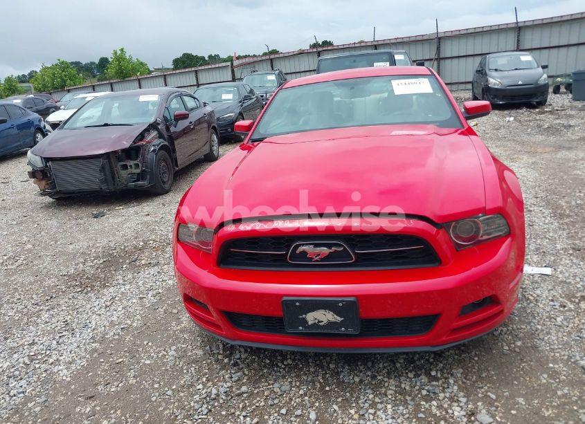 Photo 12 of 2013 Ford Mustang V6 PREMIUM (VIN 1ZVBP8AM5D5211012)