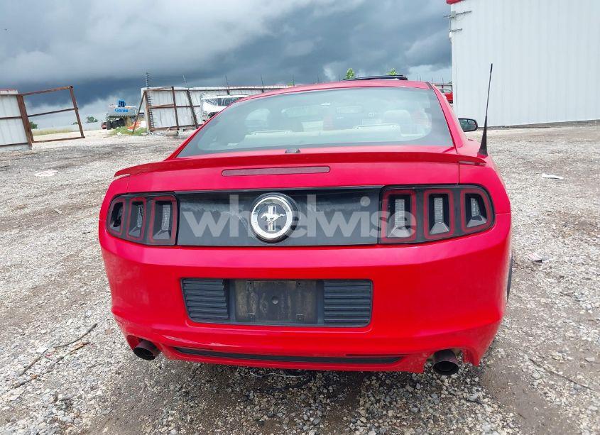 Photo 16 of 2013 Ford Mustang V6 PREMIUM (VIN 1ZVBP8AM5D5211012)