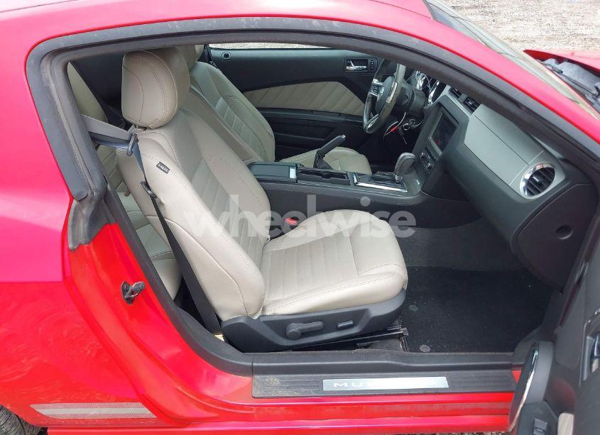 Photo 5 of 2013 Ford Mustang V6 PREMIUM (VIN 1ZVBP8AM5D5211012)