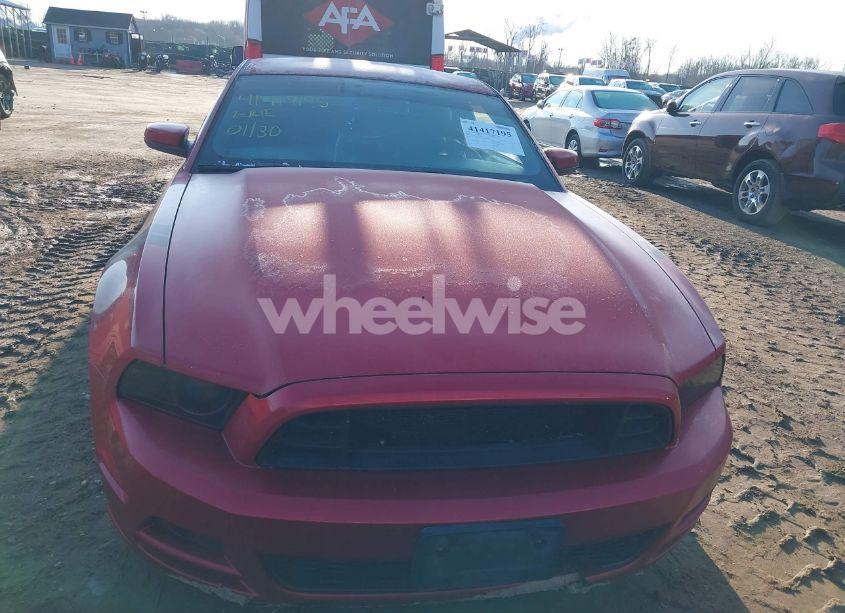 Photo 13 of 2013 Ford Mustang V6 PREMIUM (VIN 1ZVBP8AM5D5253342)