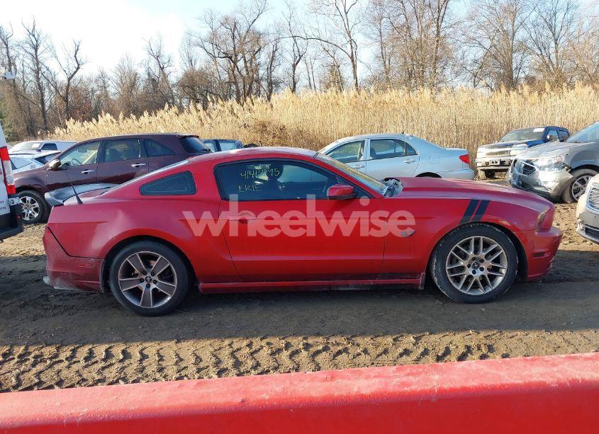 Photo 14 of 2013 Ford Mustang V6 PREMIUM (VIN 1ZVBP8AM5D5253342)