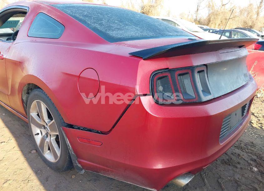 Photo 18 of 2013 Ford Mustang V6 PREMIUM (VIN 1ZVBP8AM5D5253342)