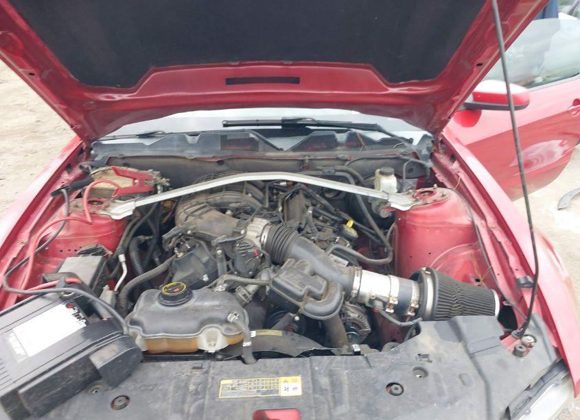 Photo 10 of 2013 Ford Mustang V6 PREMIUM (VIN 1ZVBP8AM5D5254006)