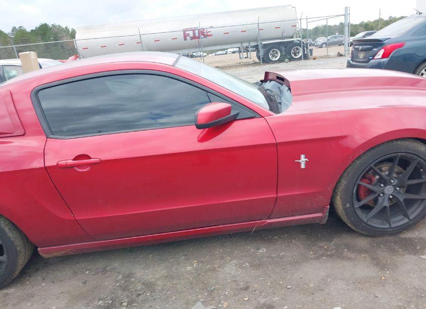 Photo 13 of 2013 Ford Mustang V6 PREMIUM (VIN 1ZVBP8AM5D5254006)