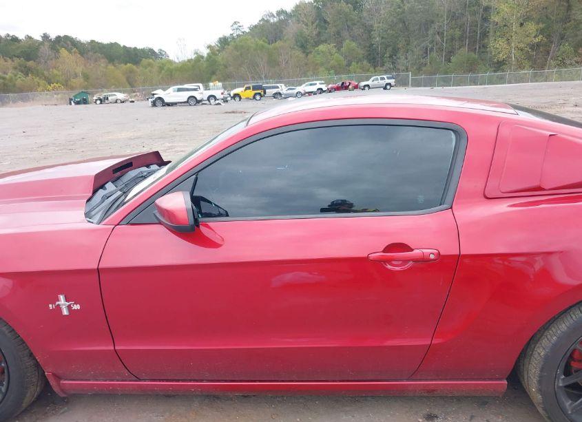 Photo 14 of 2013 Ford Mustang V6 PREMIUM (VIN 1ZVBP8AM5D5254006)