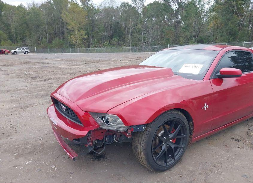 Photo 6 of 2013 Ford Mustang V6 PREMIUM (VIN 1ZVBP8AM5D5254006)