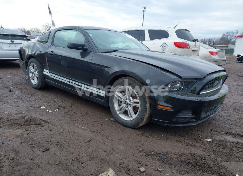 2013 Ford Mustang V6 (VIN 1ZVBP8AM5D5261621) main photo