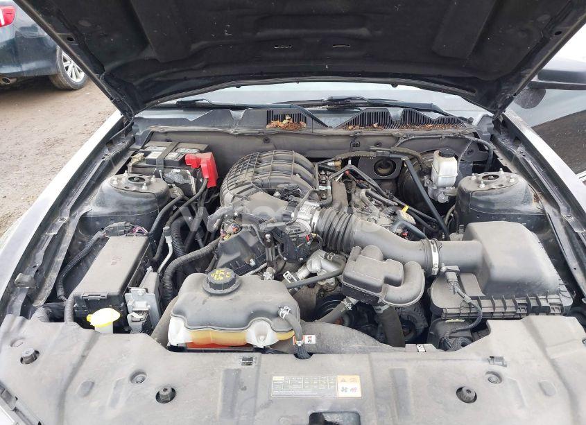 Photo 10 of 2013 Ford Mustang V6 (VIN 1ZVBP8AM5D5261621)