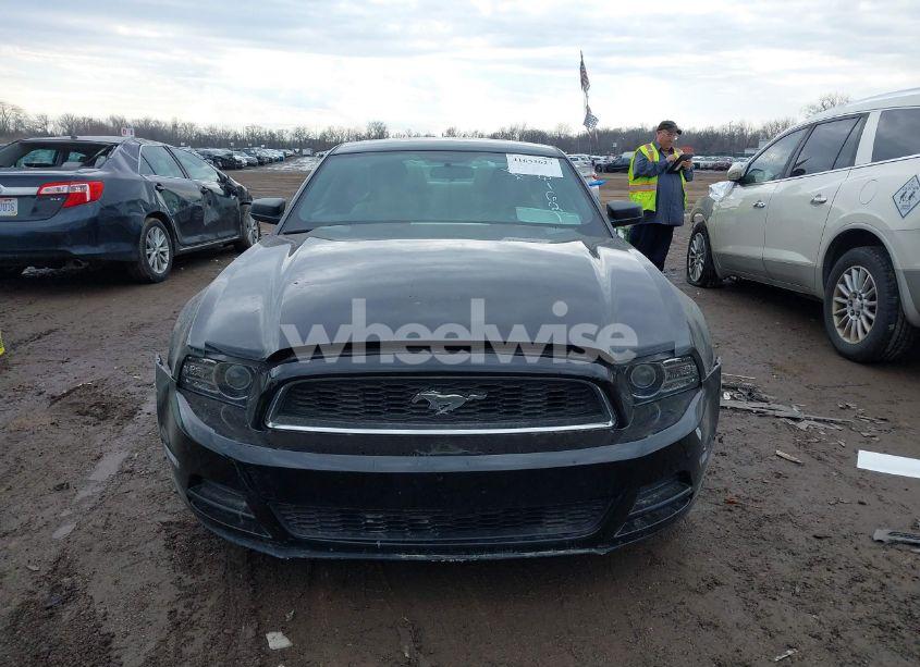 Photo 12 of 2013 Ford Mustang V6 (VIN 1ZVBP8AM5D5261621)