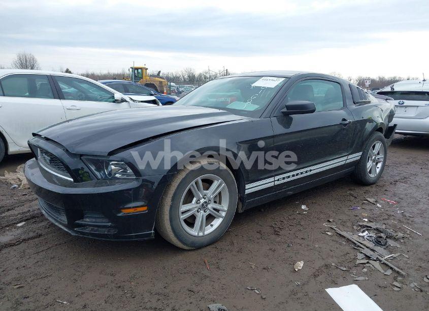 Photo 2 of 2013 Ford Mustang V6 (VIN 1ZVBP8AM5D5261621)