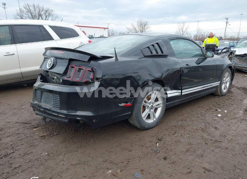 Photo 4 of 2013 Ford Mustang V6 (VIN 1ZVBP8AM5D5261621)