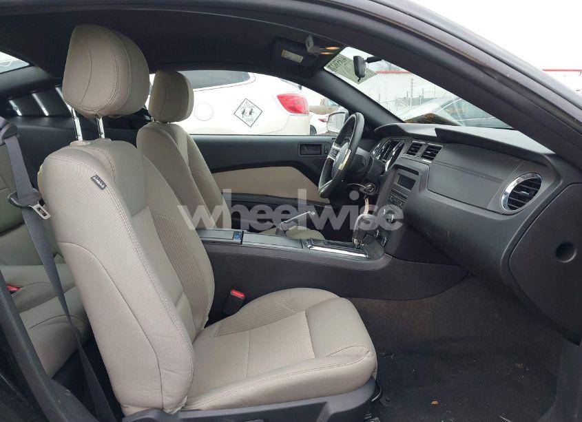 Photo 5 of 2013 Ford Mustang V6 (VIN 1ZVBP8AM5D5261621)