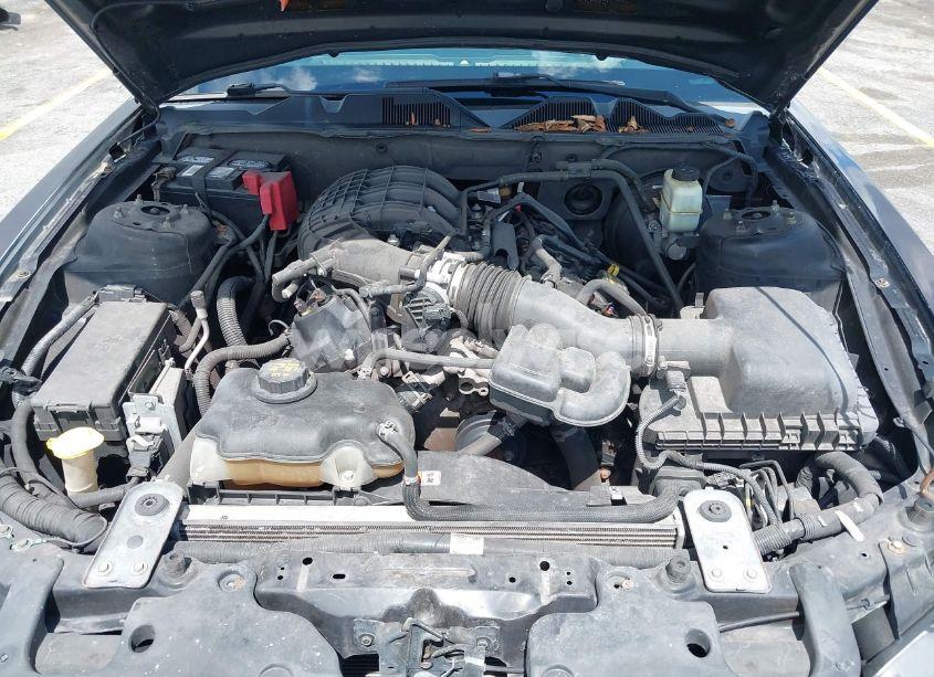 Photo 10 of 2013 Ford Mustang V6 PREMIUM (VIN 1ZVBP8AM5D5263496)