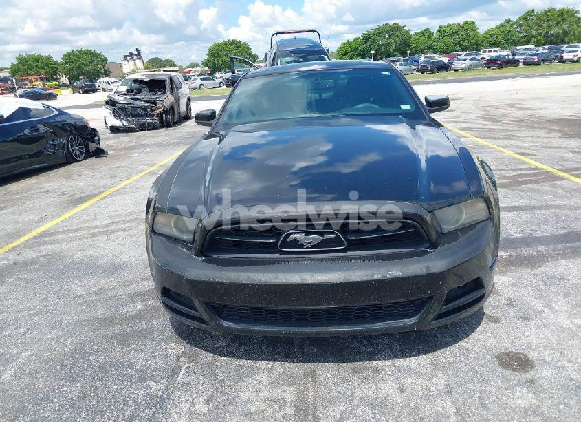 Photo 12 of 2013 Ford Mustang V6 PREMIUM (VIN 1ZVBP8AM5D5263496)
