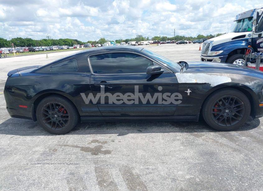 Photo 13 of 2013 Ford Mustang V6 PREMIUM (VIN 1ZVBP8AM5D5263496)