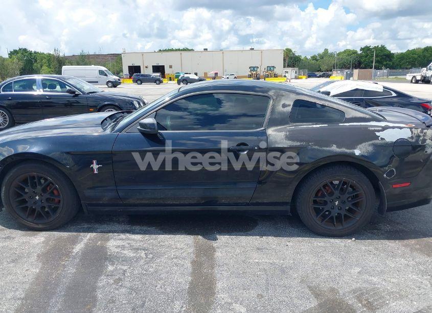 Photo 14 of 2013 Ford Mustang V6 PREMIUM (VIN 1ZVBP8AM5D5263496)