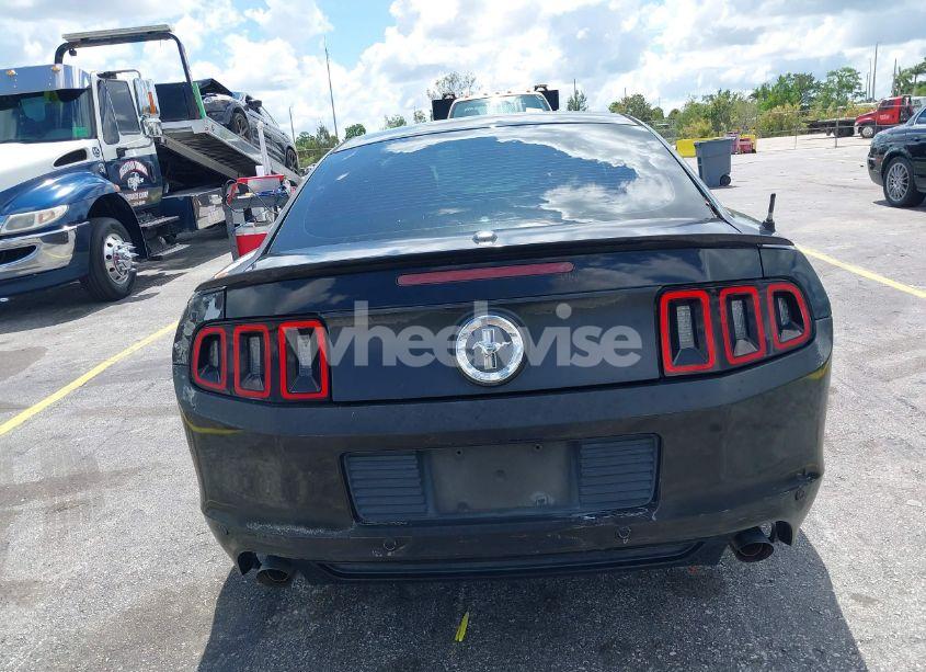 Photo 16 of 2013 Ford Mustang V6 PREMIUM (VIN 1ZVBP8AM5D5263496)