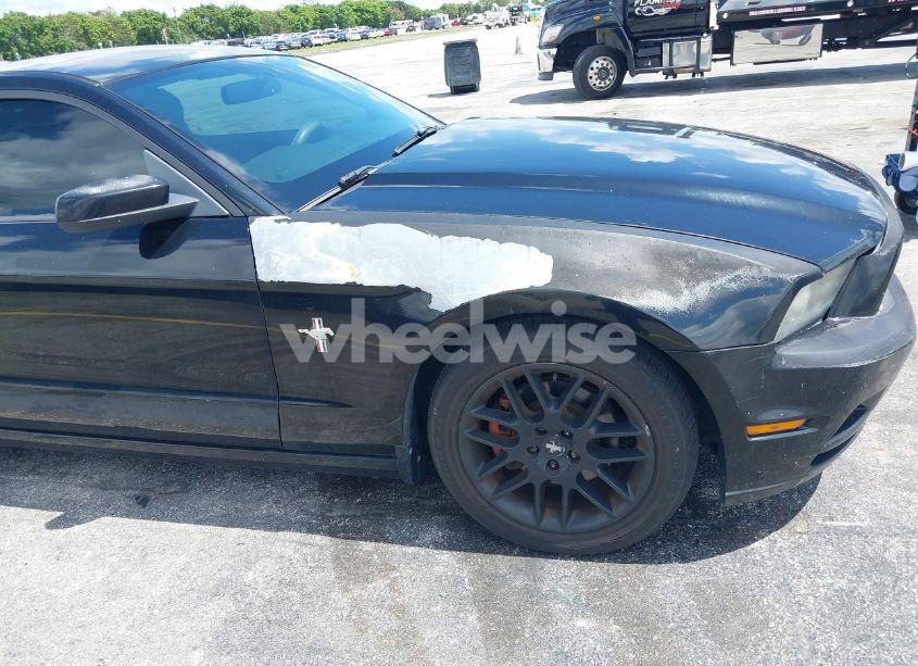 Photo 17 of 2013 Ford Mustang V6 PREMIUM (VIN 1ZVBP8AM5D5263496)