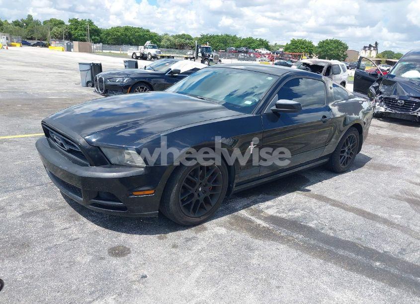 Photo 2 of 2013 Ford Mustang V6 PREMIUM (VIN 1ZVBP8AM5D5263496)