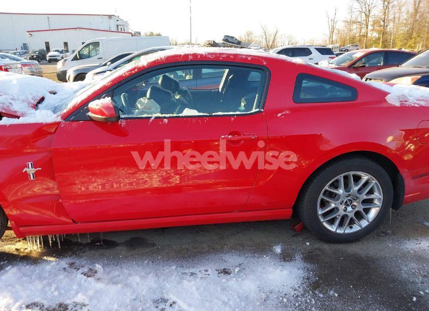 Photo 14 of 2013 Ford Mustang V6 PREMIUM (VIN 1ZVBP8AM5D5266270)
