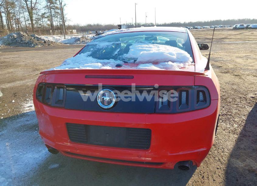 Photo 16 of 2013 Ford Mustang V6 PREMIUM (VIN 1ZVBP8AM5D5266270)