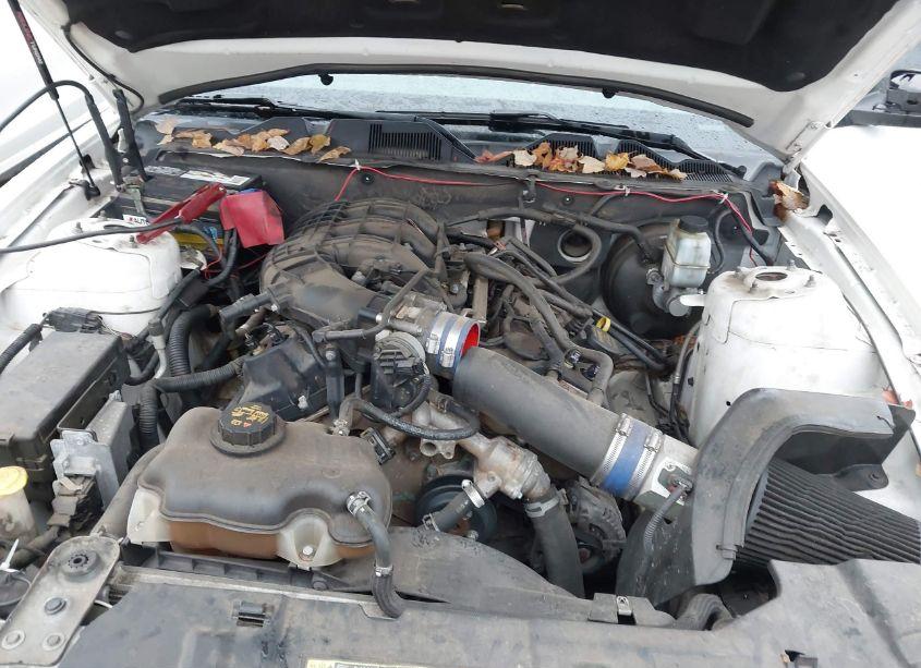 Photo 10 of 2013 Ford Mustang V6 PREMIUM (VIN 1ZVBP8AM5D5274739)