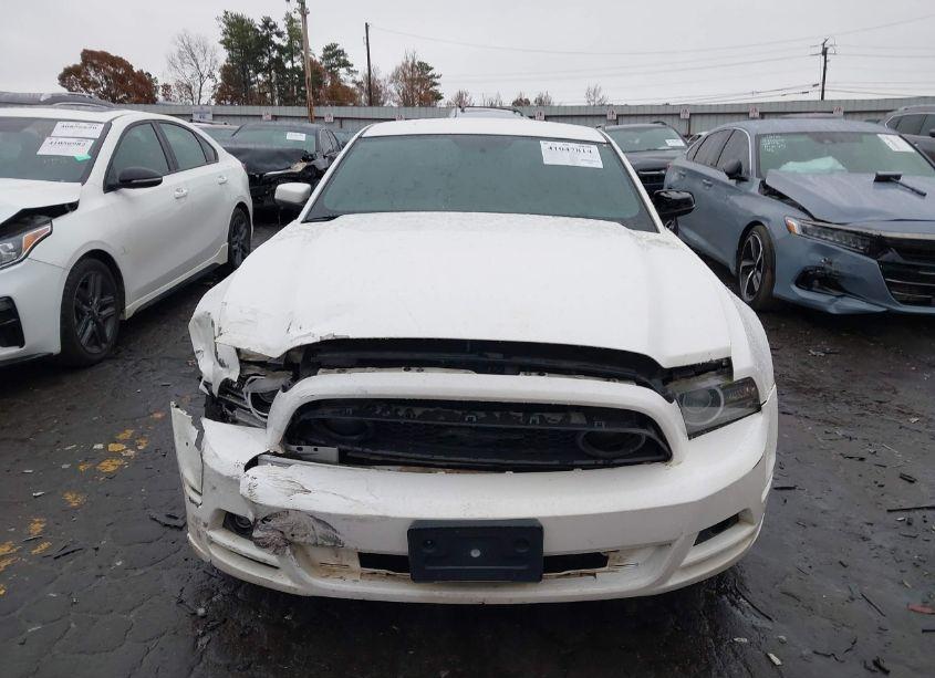 Photo 12 of 2013 Ford Mustang V6 PREMIUM (VIN 1ZVBP8AM5D5274739)