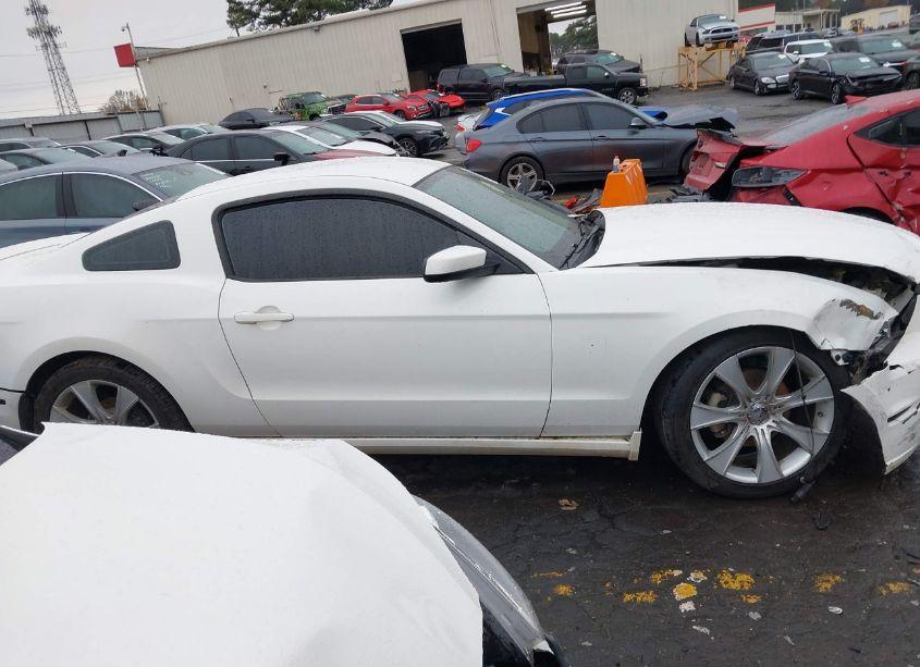 Photo 13 of 2013 Ford Mustang V6 PREMIUM (VIN 1ZVBP8AM5D5274739)