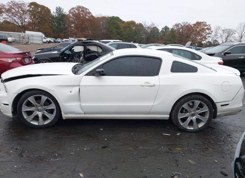 Photo 14 of 2013 Ford Mustang V6 PREMIUM (VIN 1ZVBP8AM5D5274739)