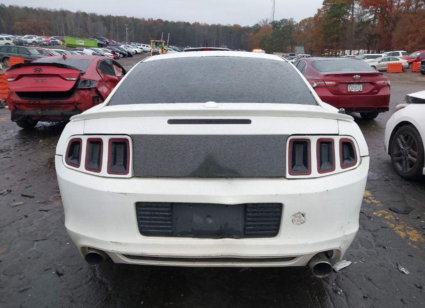 Photo 16 of 2013 Ford Mustang V6 PREMIUM (VIN 1ZVBP8AM5D5274739)