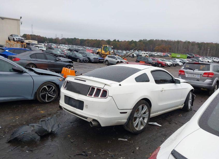Photo 4 of 2013 Ford Mustang V6 PREMIUM (VIN 1ZVBP8AM5D5274739)