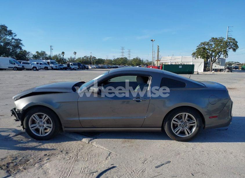 Photo 15 of 2014 Ford Mustang V6 (VIN 1ZVBP8AM5E5201226)