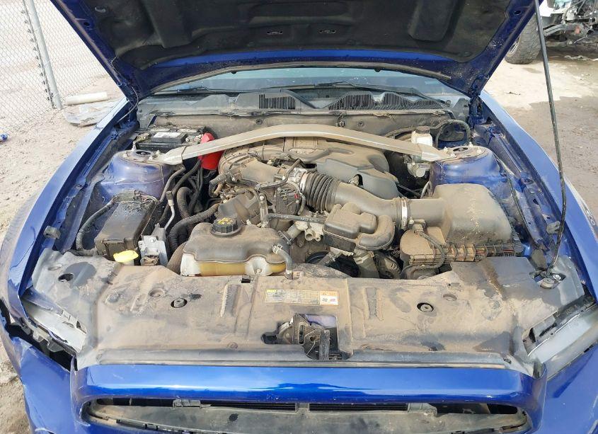Photo 10 of 2014 Ford Mustang V6 (VIN 1ZVBP8AM5E5203087)